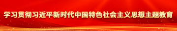 大鸡巴操死你视频学习贯彻习近平新时代中国特色社会主义思想主题教育